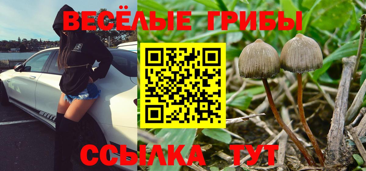 Псилоцибиновые грибы мицелий  Вход с VPN  Тельмана 